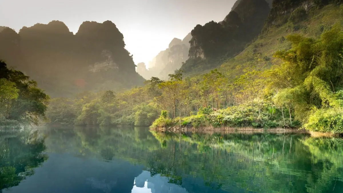 高效高端高效